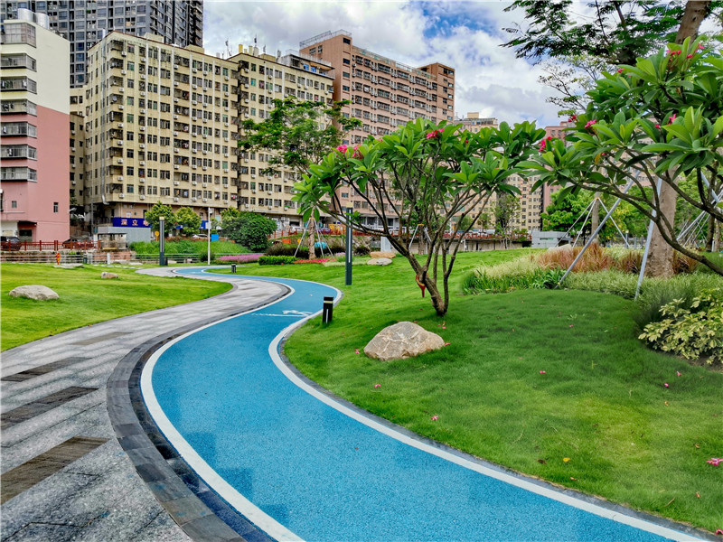 油松滨水公园这大片的草坪真适合傍晚时分闲坐吹风