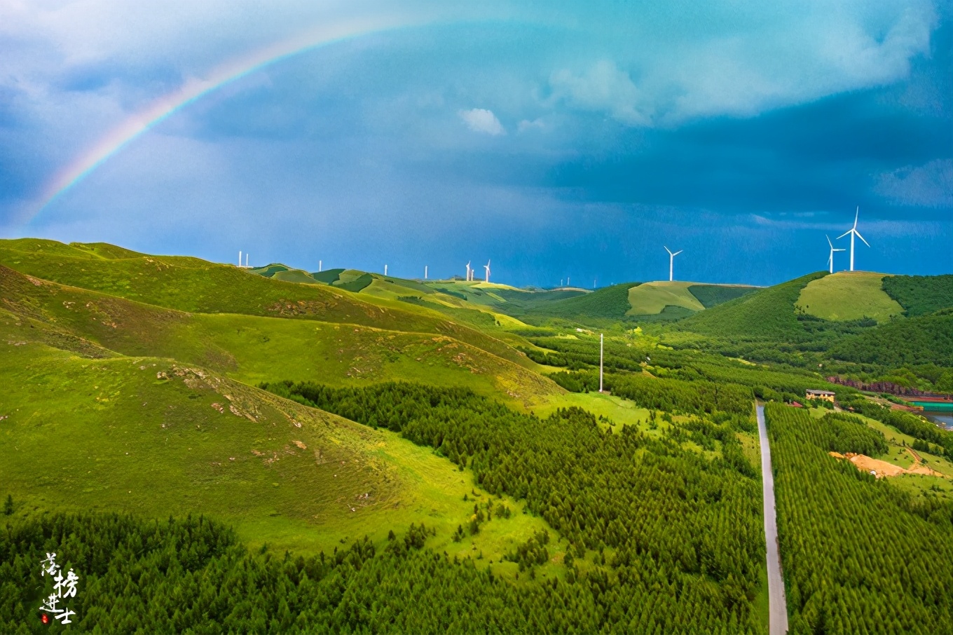 承德坝上七彩森林,这里的夏日好浪漫,还有一条云上天路,好惊险