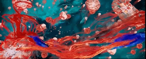 480_197gif 动态图 动图