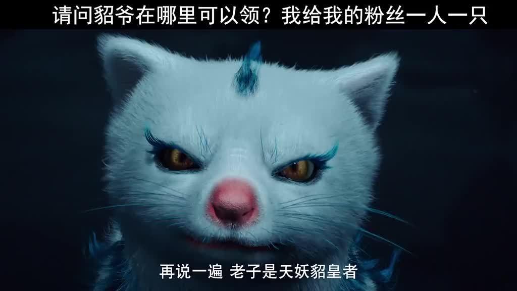 追影 这么可爱的貂爷我想送给我的粉丝一人一只