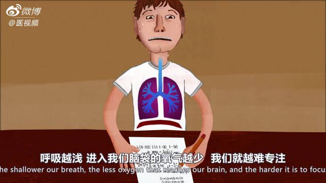 TED科普：呼吸系统是怎么运作的？