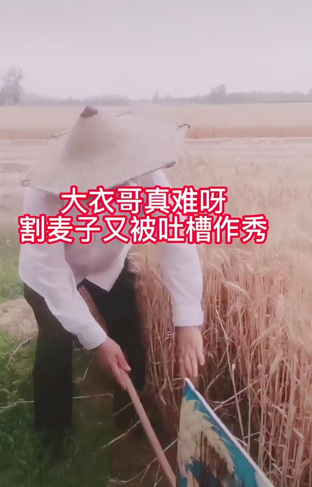 不久前,大衣哥亲自下地割麦子的视频曝光,结果还被不少网友吐槽称是在