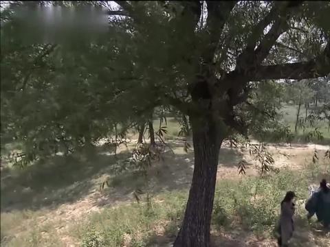 宝莲灯前传 杨戬和玉鼎真人逃出生天 玉鼎真人露馅 财经头条 宝莲灯前传 杨戬和玉鼎真人逃出生天 玉鼎真人露馅 财经头条