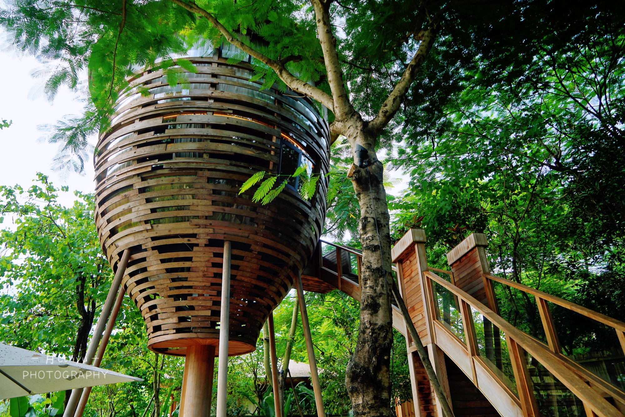 2天1夜去福建的巴厘岛度假车程仅1小时还可以喂羊驼