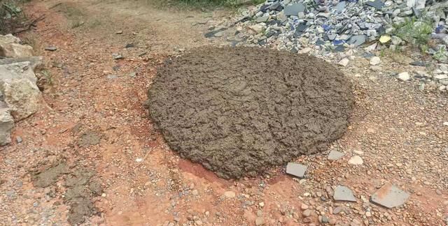 永州市祁阳乡村路上有一堆好大的猪屎需求肥料快来挑