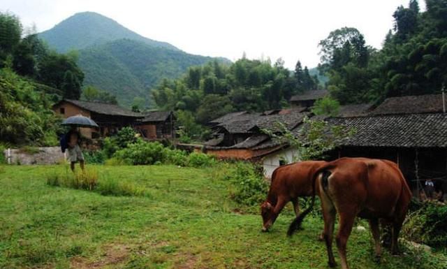 婚后半年女子查出绝症,丈夫跟她离婚,一年后女子觉得很庆幸!休闲区蓝鸢梦想 - Www.slyday.coM