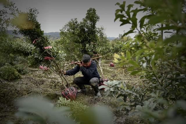 7岁男孩儿童节高兴玩耍,父母却为他体内不定时“炸弹”担心不已休闲区蓝鸢梦想 - Www.slyday.coM 7岁男孩儿童节高兴玩耍,父母却为他体内不定时“炸弹”担心不已休闲区蓝鸢梦想 - Www.slyday.coM