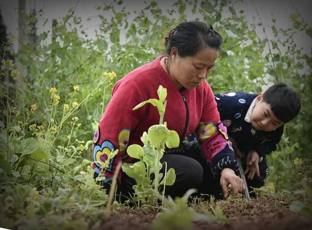 7岁男孩儿童节高兴玩耍,父母却为他体内不定时“炸弹”担心不已休闲区蓝鸢梦想 - Www.slyday.coM 7岁男孩儿童节高兴玩耍,父母却为他体内不定时“炸弹”担心不已休闲区蓝鸢梦想 - Www.slyday.coM