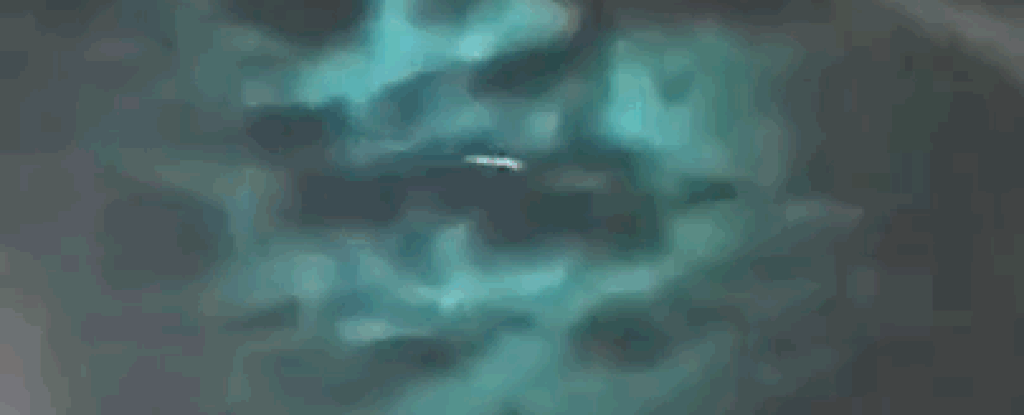 天空传来巨响，不明物体从天而降坠入鱼塘，20多天了还没找到它休闲区蓝鸢梦想 - Www.slyday.coM