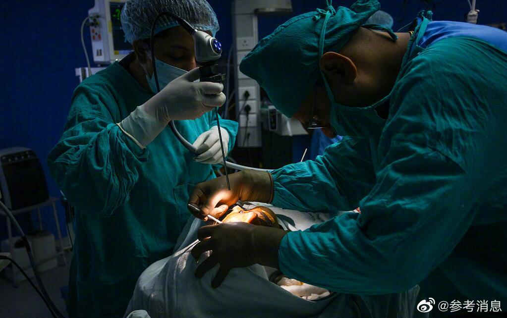 印度发现首例绿真菌症病例 专家呼吁勿恐慌休闲区蓝鸢梦想 - Www.slyday.coM