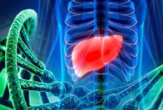 放屁多是身体在排毒？可能是肝脏发出的警告，别不当回事！休闲区蓝鸢梦想 - Www.slyday.coM