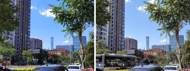 旗鼓相当的对决荣耀50pro小米11拍照对比