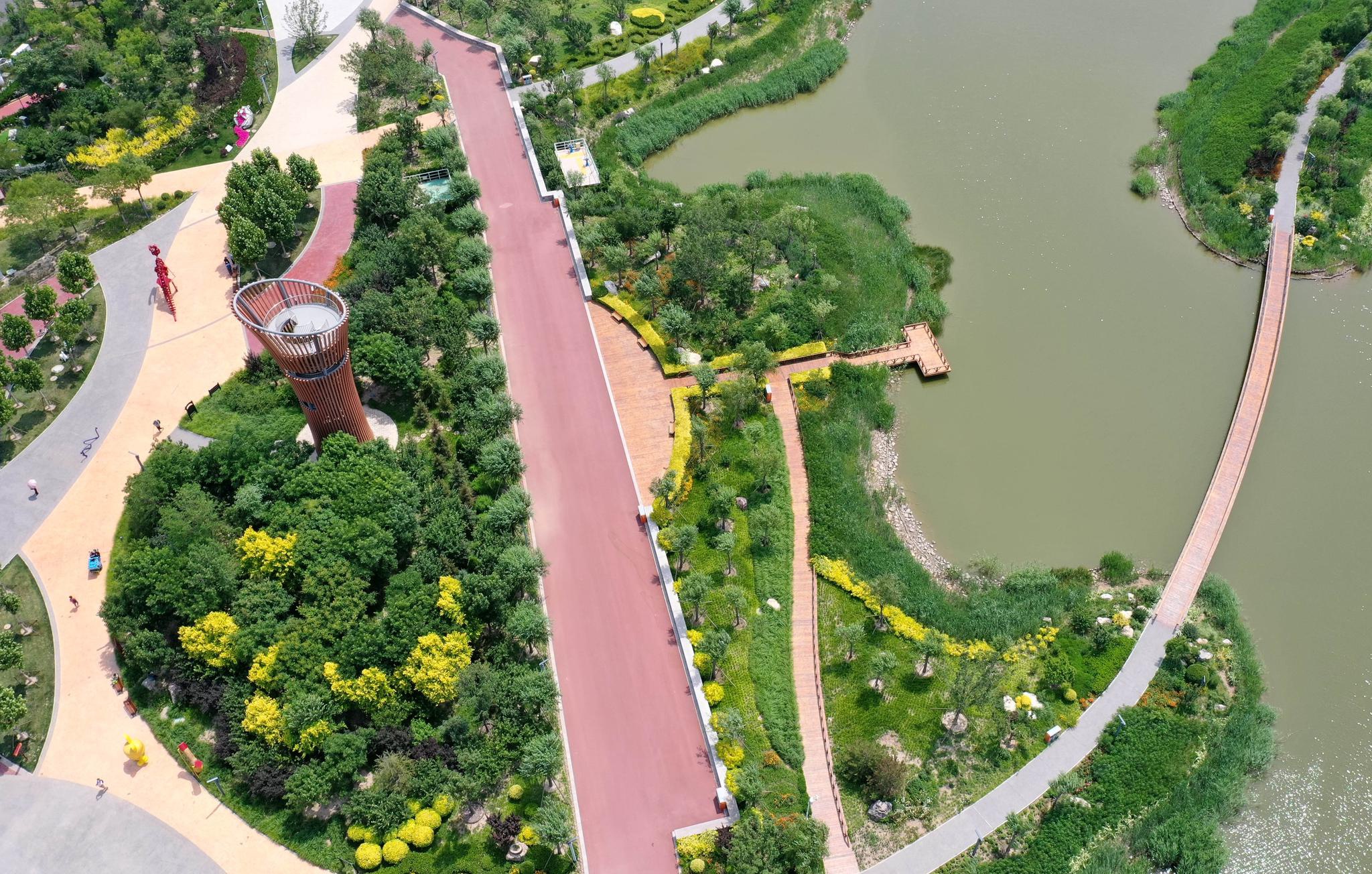 盐碱滩上崛起美丽"滨城"