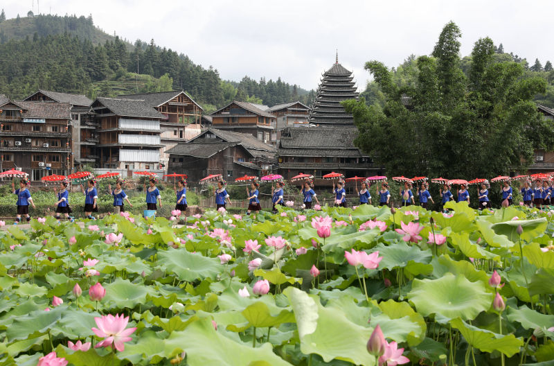 在三江侗族自治县程阳八寨景区,民俗游行队伍行经荷塘前.龚普康摄