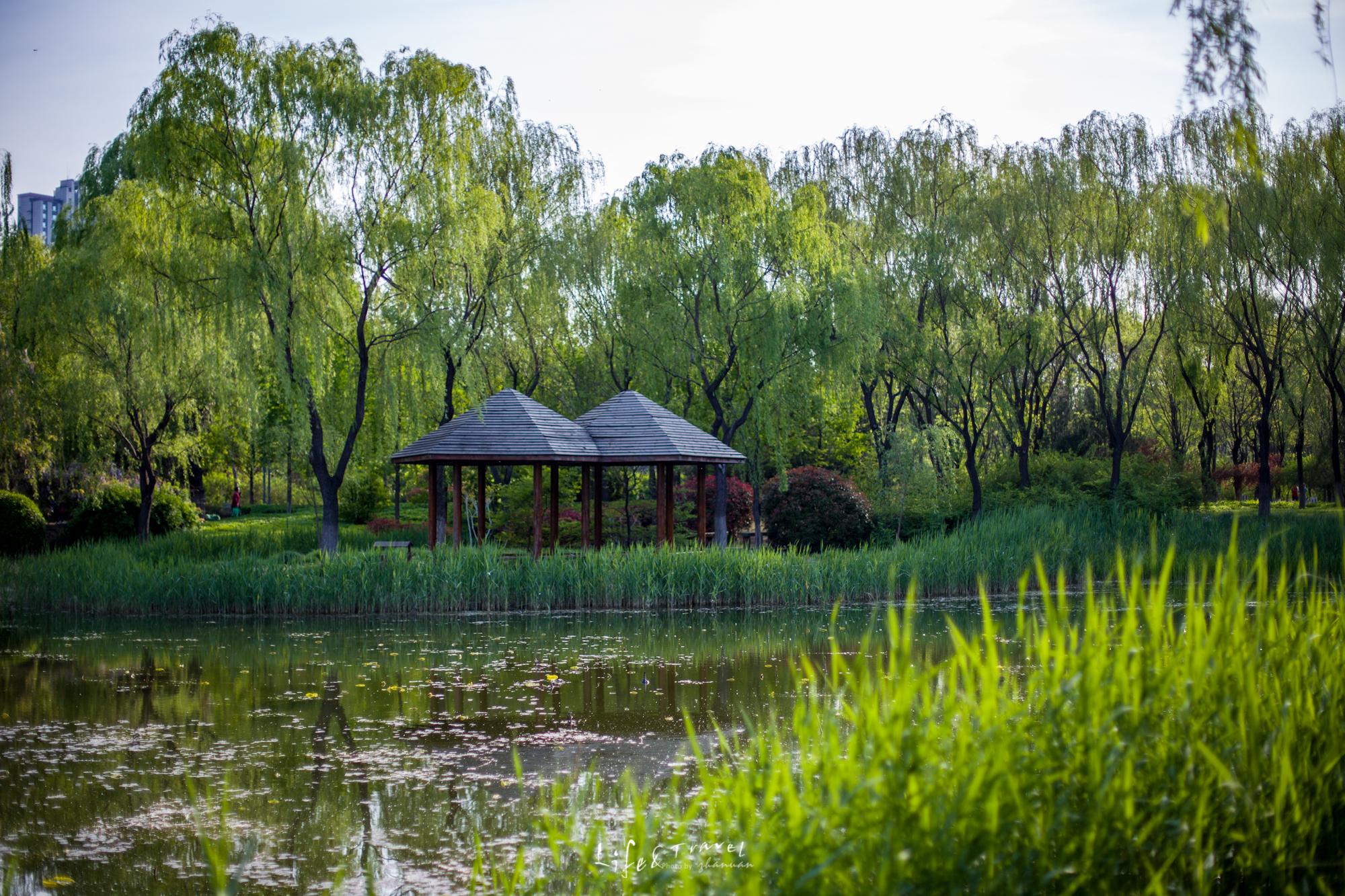 夏日济南不止有泉水穿过一条条老街寻找老市民眼中的泉城