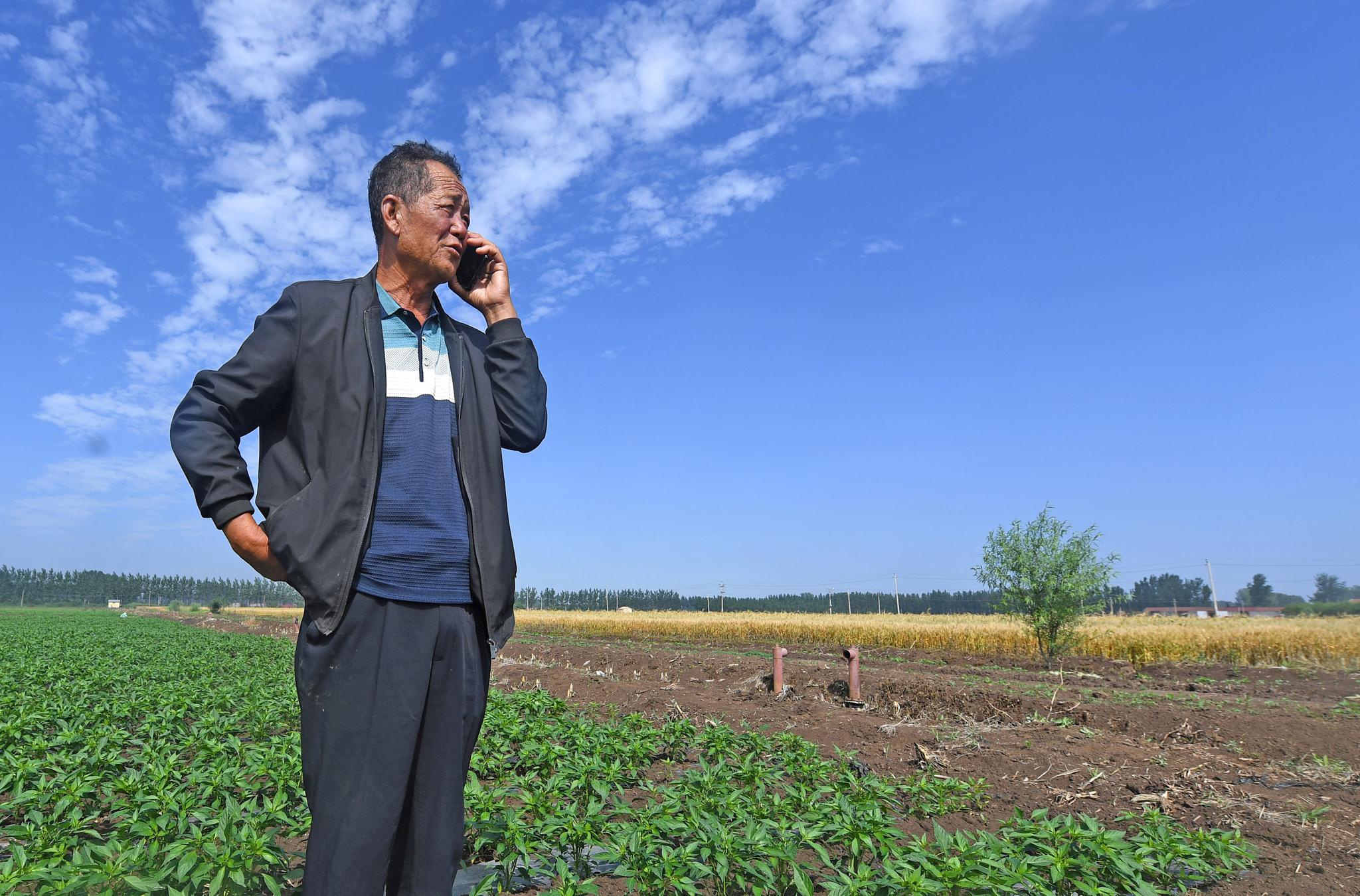 新华社记者赵子硕摄在天津市宝坻区王卜庄镇李清庄村,马步云(左)和