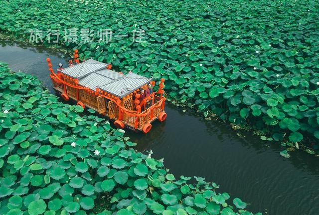 现实版的云梦莲花坞,行走在其中,宛如世外桃源