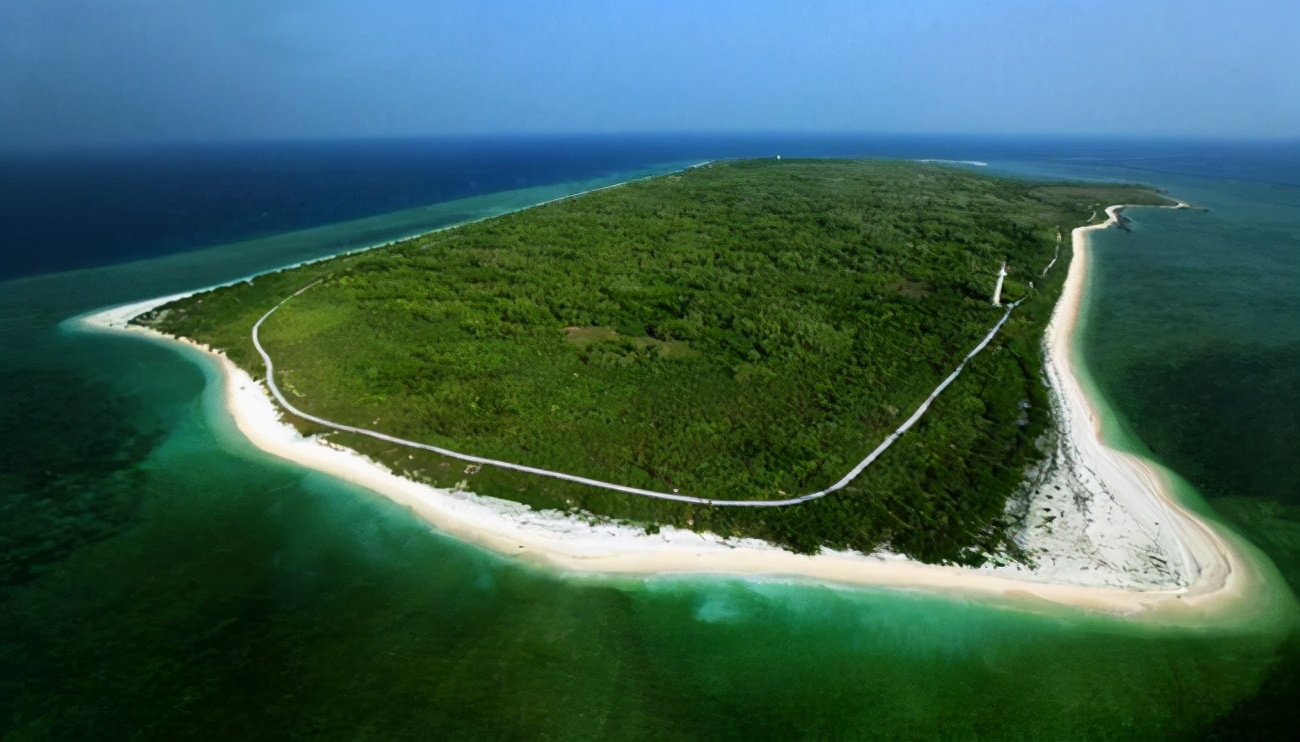 西沙东岛自古以来远离大陆岛上400头野牛哪里来的