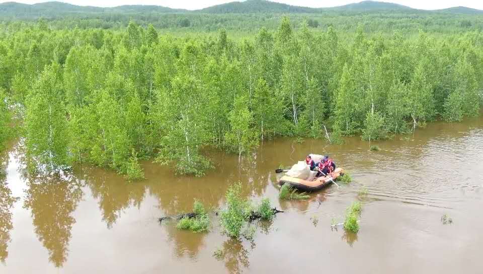 水漫灌,333人被困孤岛,大兴安岭地区森林消防支队紧急出动75名指战员