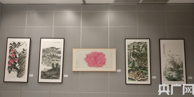 图为：部分参展作品 央广网 发 记者朱娜 摄