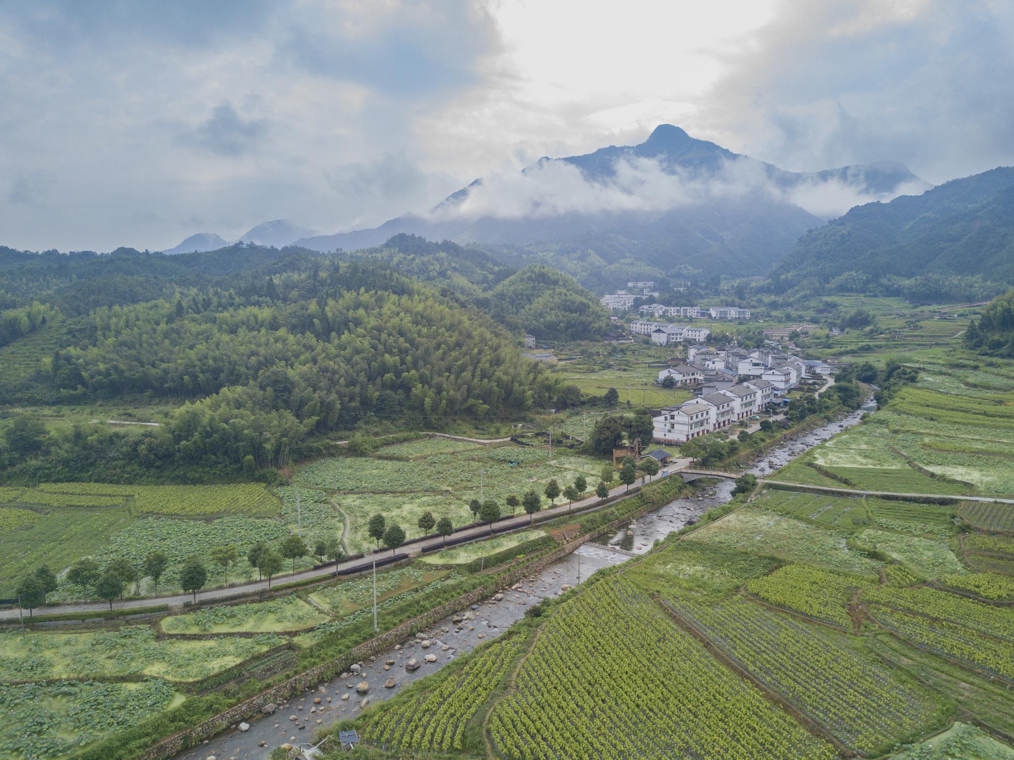 6月20日,游客在建宁县濉溪镇大源村莲田游览.