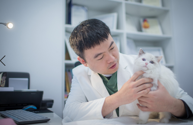 中国宠物行业职业发展与教育高峰论坛议程大公开，6.29上海见