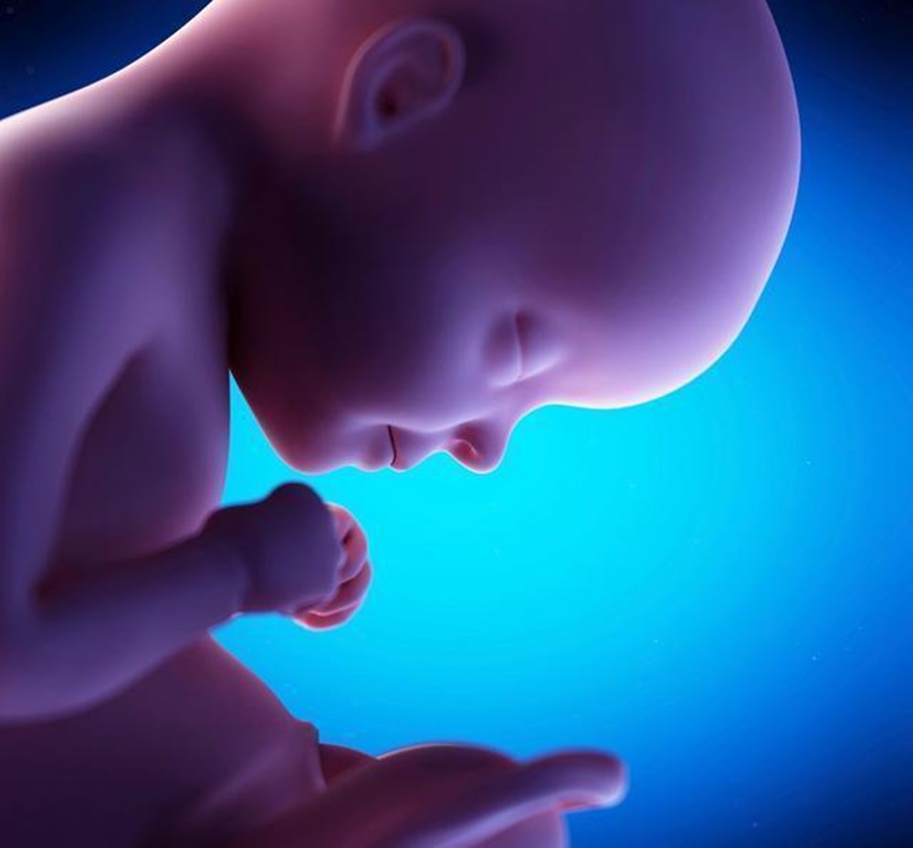 孕肚里"黑乎乎"胎儿会感到无聊吗?看完b超,准妈妈:超乎想象