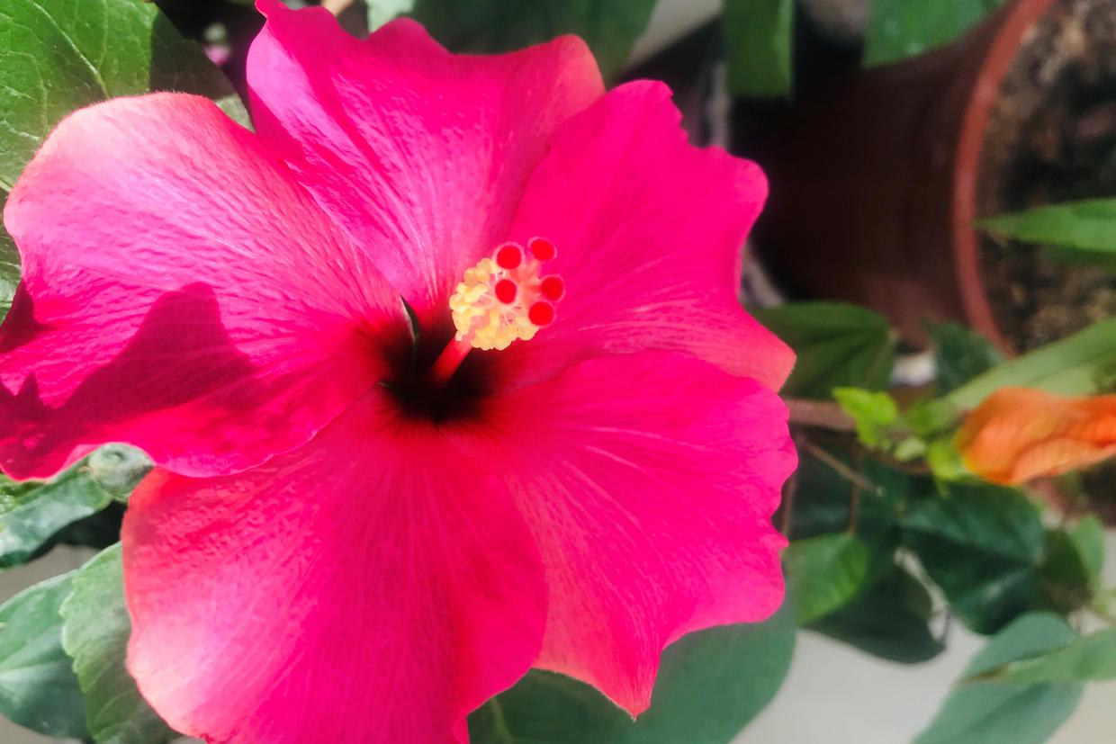 想知道一个人是不是人才,是否值得信赖,判定标准不是努力和能力休闲区蓝鸢梦想 - Www.slyday.coM 想知道一个人是不是人才,是否值得信赖,判定标准不是努力和能力休闲区蓝鸢梦想 - Www.slyday.coM