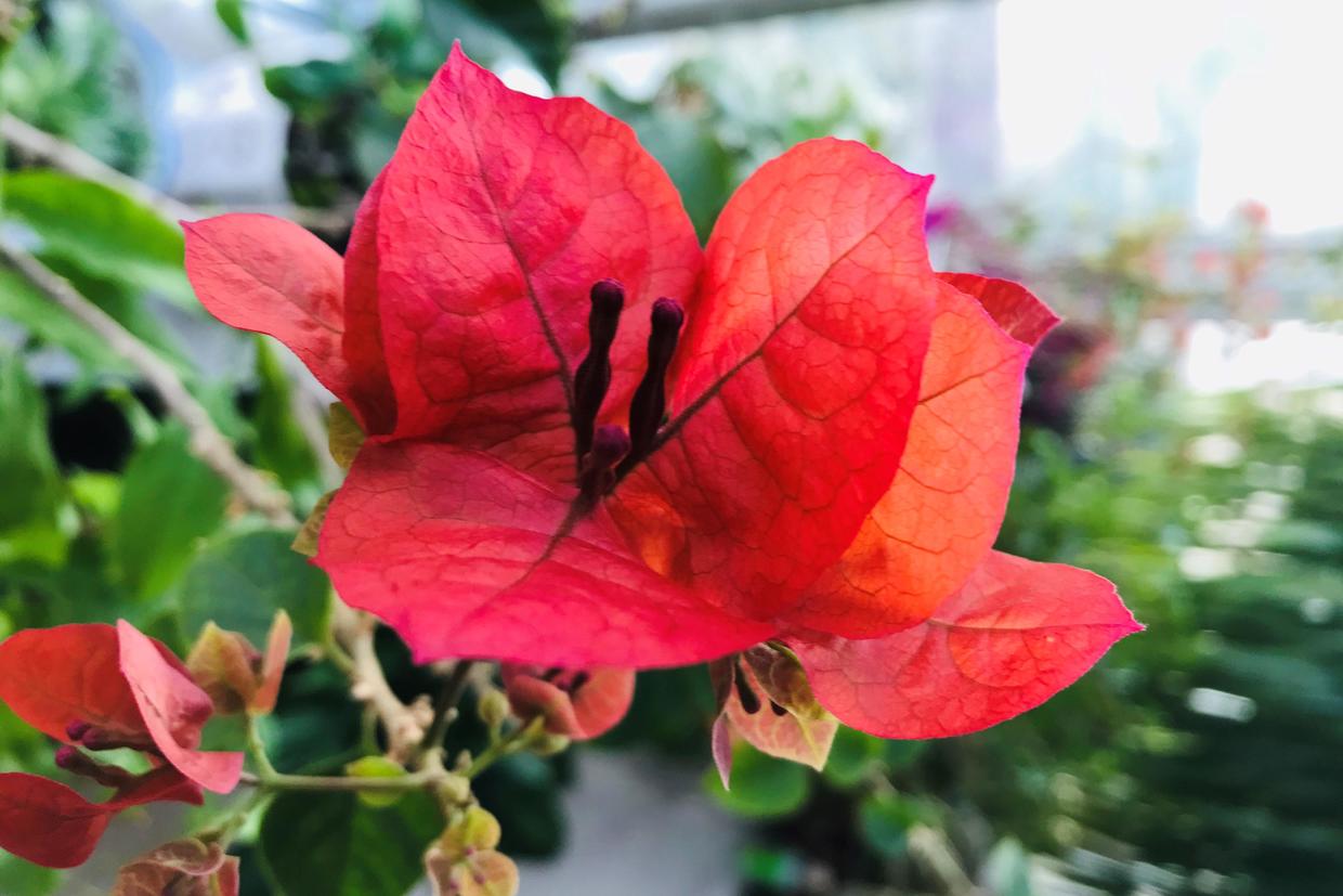 想知道一个人是不是人才,是否值得信赖,判定标准不是努力和能力休闲区蓝鸢梦想 - Www.slyday.coM 想知道一个人是不是人才,是否值得信赖,判定标准不是努力和能力休闲区蓝鸢梦想 - Www.slyday.coM