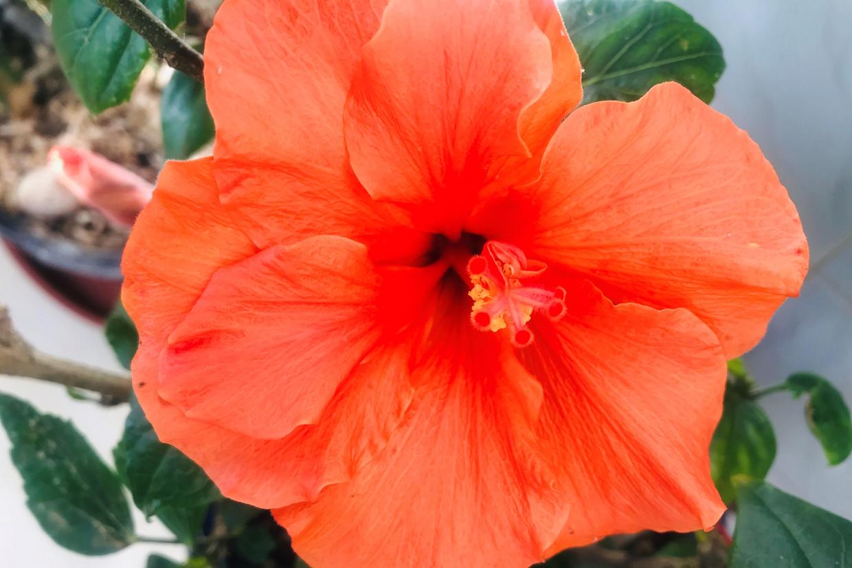 想知道一个人是不是人才,是否值得信赖,判定标准不是努力和能力休闲区蓝鸢梦想 - Www.slyday.coM 想知道一个人是不是人才,是否值得信赖,判定标准不是努力和能力休闲区蓝鸢梦想 - Www.slyday.coM