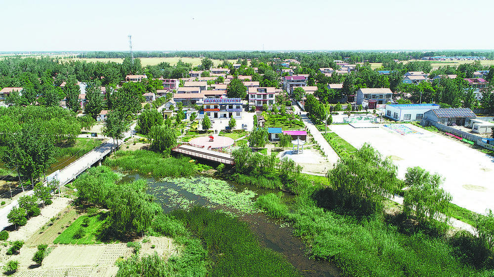 鄄城县凤凰镇酒店张村:田园美如画 古村产业新