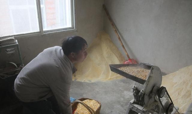 41岁男子种20多亩地,养5头母猪5头牛,因太害羞至今还单身休闲区蓝鸢梦想 - Www.slyday.coM 41岁男子种20多亩地,养5头母猪5头牛,因太害羞至今还单身休闲区蓝鸢梦想 - Www.slyday.coM