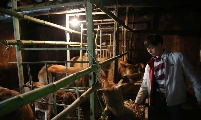 41岁男子种20多亩地,养5头母猪5头牛,因太害羞至今还单身休闲区蓝鸢梦想 - Www.slyday.coM 41岁男子种20多亩地,养5头母猪5头牛,因太害羞至今还单身休闲区蓝鸢梦想 - Www.slyday.coM