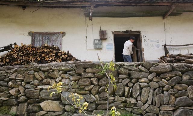 41岁男子种20多亩地,养5头母猪5头牛,因太害羞至今还单身休闲区蓝鸢梦想 - Www.slyday.coM 41岁男子种20多亩地,养5头母猪5头牛,因太害羞至今还单身休闲区蓝鸢梦想 - Www.slyday.coM