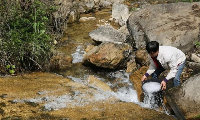 41岁男子种20多亩地,养5头母猪5头牛,因太害羞至今还单身休闲区蓝鸢梦想 - Www.slyday.coM 41岁男子种20多亩地,养5头母猪5头牛,因太害羞至今还单身休闲区蓝鸢梦想 - Www.slyday.coM