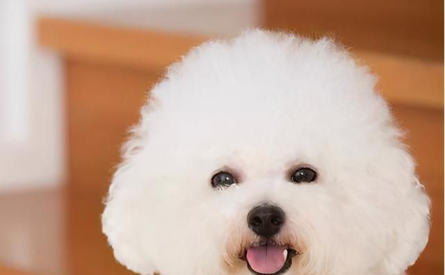 美洲杯休闲区蓝鸢梦想 - Www.slyday.coM