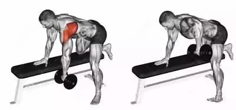 单臂哑铃划船阿诺德推举杠铃俯身划船有哪些易错点