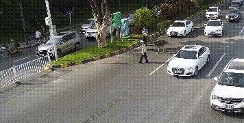 视频刷爆!一只大鸵鸟惊现街头,与汽车“赛跑”休闲区蓝鸢梦想 - Www.slyday.coM