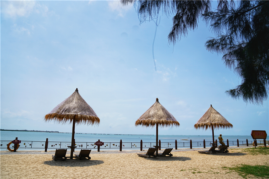 广西北海有一片红树林夏天风景优美海天一色很适合度假