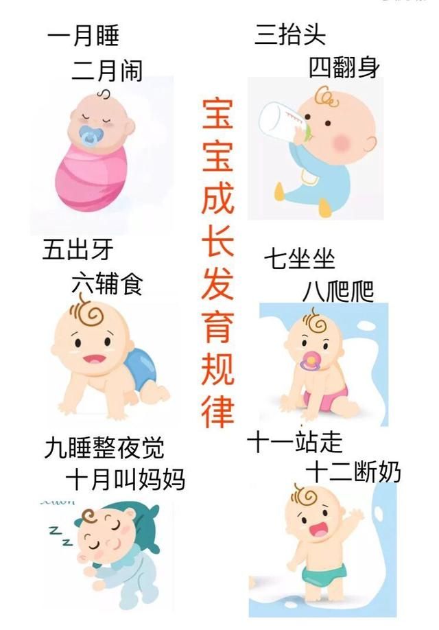 "七月坐八月爬",九月十月喊爸妈,婴儿发育口诀,瞧瞧准吗