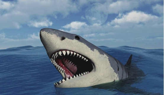 "巨口鲨"被确认存在!这次被日本发现,专家称它已受伤