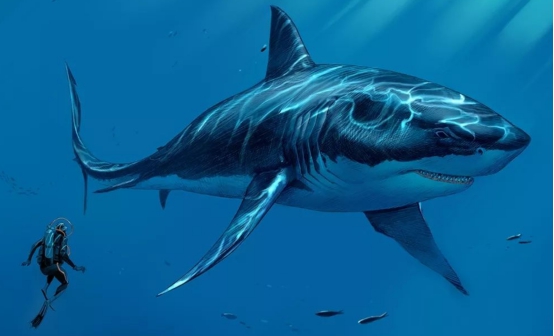 "巨口鲨"被确认存在!这次被日本发现,专家称它已受伤