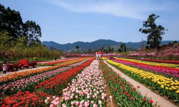 陕西一景区遭摘牌儿,工作人员心气儿太高,服务冷淡,被多次投诉休闲区蓝鸢梦想 - Www.slyday.coM 陕西一景区遭摘牌儿,工作人员心气儿太高,服务冷淡,被多次投诉休闲区蓝鸢梦想 - Www.slyday.coM