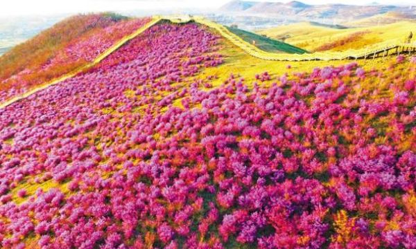 陕西一景区遭摘牌儿,工作人员心气儿太高,服务冷淡,被多次投诉休闲区蓝鸢梦想 - Www.slyday.coM 陕西一景区遭摘牌儿,工作人员心气儿太高,服务冷淡,被多次投诉休闲区蓝鸢梦想 - Www.slyday.coM