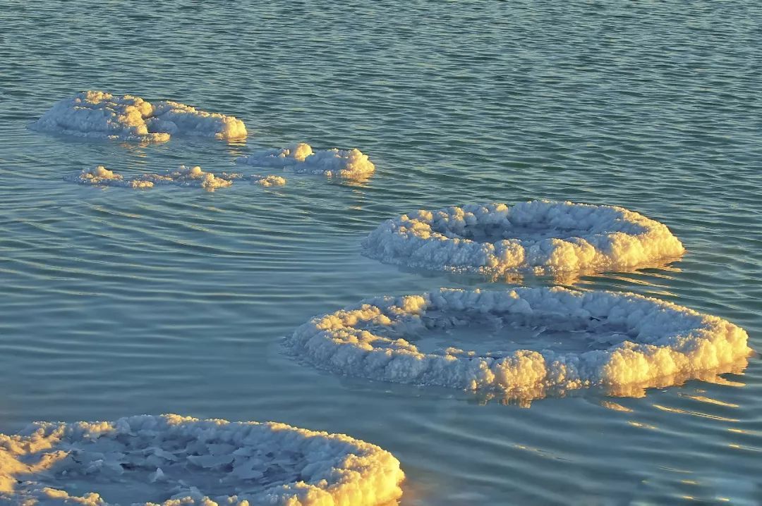 如今出现200平方公里的湖泊,还有植物生长|罗布泊|湖泊|卤水_新浪新闻
