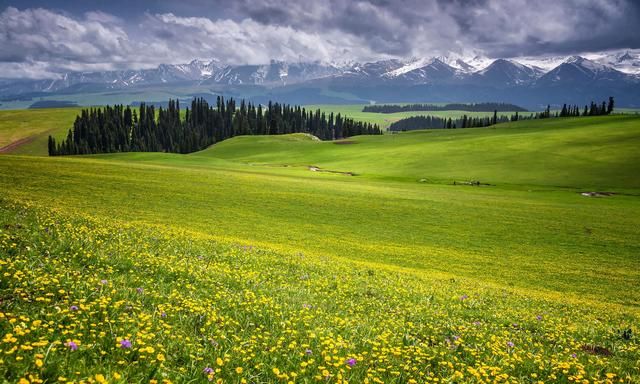 像风吹过辽阔无垠的草原