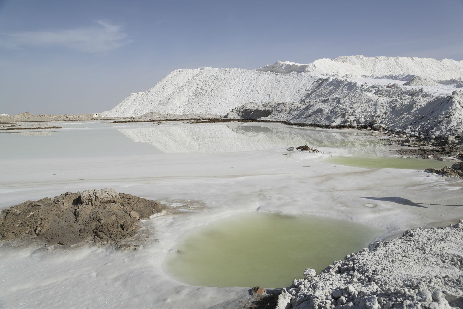 如今出现200平方公里的湖泊,还有植物生长|罗布泊|湖泊|卤水_新浪新闻