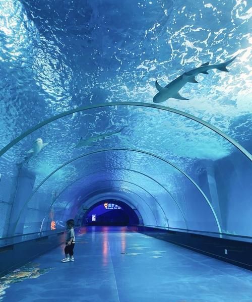 福州永泰新增一家4a景区,当地人有福了,网友:令人羡慕