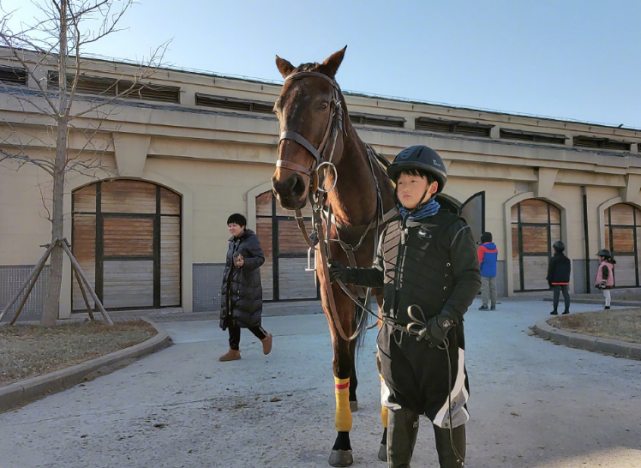 邹市明陪儿子骑马被偶遇11岁邹明轩帮爸爸和粉丝拍照乖巧懂事