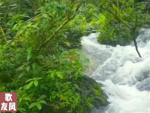 歌曲泉水叮咚响简谱_泉水叮咚响简谱(3)